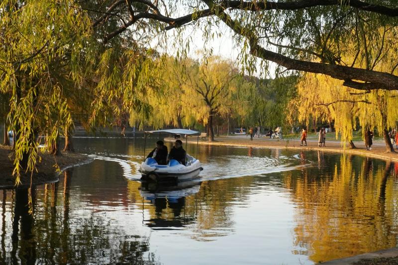 A boat on a calm river lined with fall trees