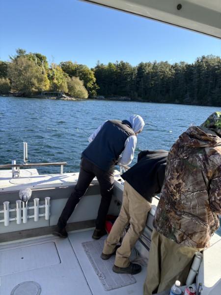 Anglers leaning over the side of the boat to land a fish near a wooded island