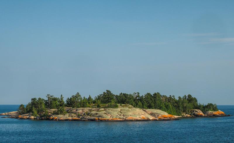 A small rocky island topped with pine trees